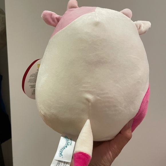 8” Caedyn Squishmallow - Picture 3 of 4